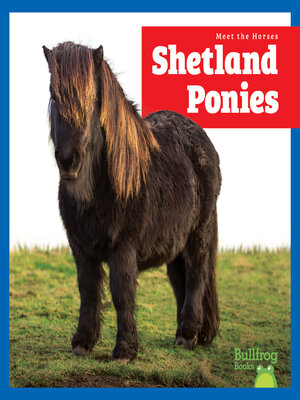 cover image of Shetland Ponies